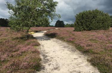 Atelier am Markt - Photo 44