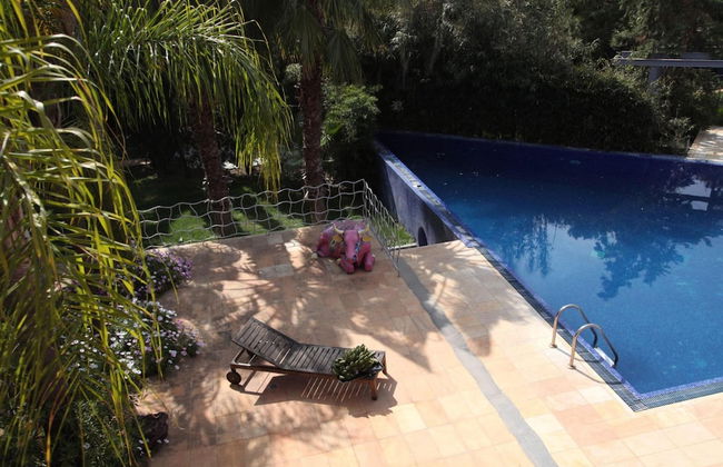 Eretria Palm Garden Villa - Foto 12