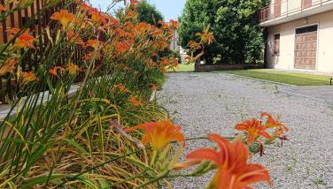 Villa Calmora - Photo 3, Garden