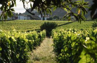 Morgadio da Calcada Douro Wine&Tourism - Photo 43