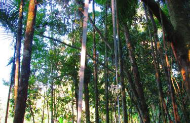 Refúgio dos Valdenses - Photo 33