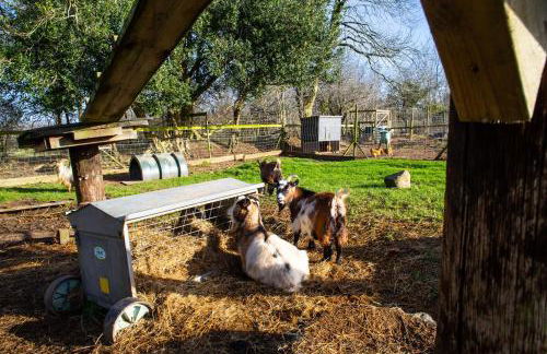 Y Boidy Bach - Photo 27