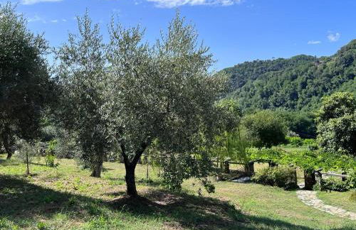 Podere il Giardino - Casale Rustico degli Ulivi con piscina e parco - Lucca - Foto 27