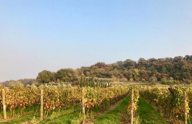 Shimmering Serenity in Pastrengo - Photo 29