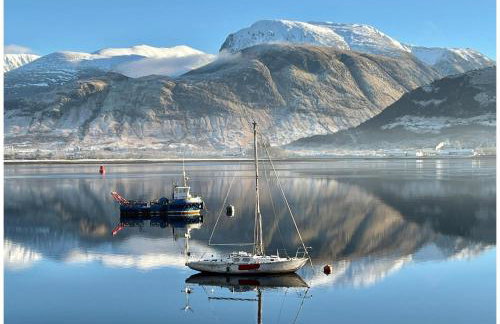 The Highland Wooly Coo - Foto 1