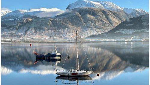The Highland Wooly Coo - Foto 1
