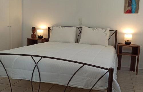 Arta House - Foto 15