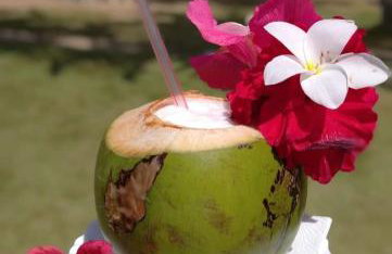 Casa Aconchego do Mar - Foto 20