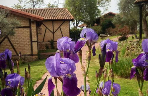 Hotel Rural Hosteria Fontivieja TR-CC-195 - Foto 13