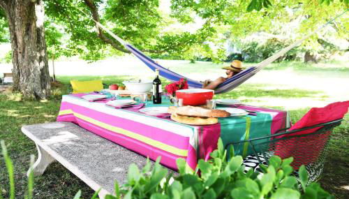 Maison de campagne sud-ouest CARBONNE en OCCITANIE - Foto 3, Garden view