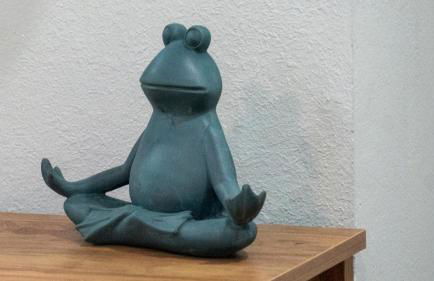 Villa Tropical - Your private Miami Resort with a heated pool - Foto 8