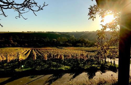 Ferienwohnung An der Dorfmauer - Foto 47
