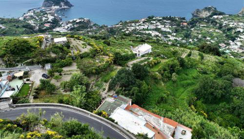 Villa Gesualda - Foto 5