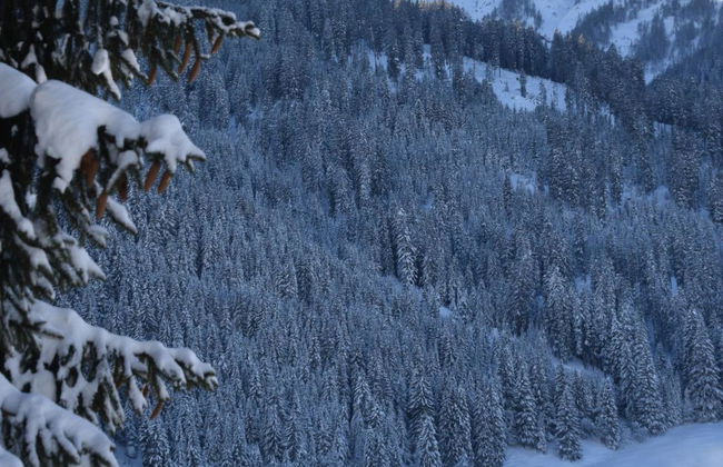 Am Sonnenhang - Foto 25