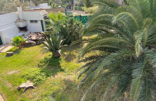 La Mandioca - Foto 33