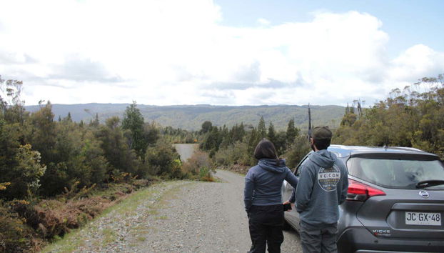 Alerce Costero National Park Day Trip - Foto 3