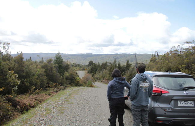 Alerce Costero National Park Day Trip - Photo 3