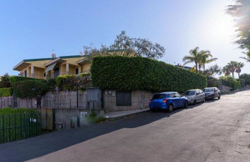 Little Rose garden - Foto 17