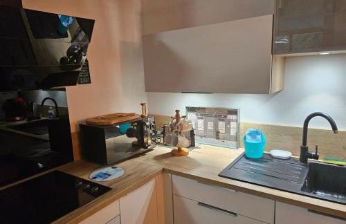 Les Marmottes de Murol - Foto 15