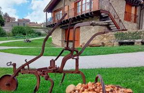 Can Tubau - Casa rural - Apartaments - Foto 62