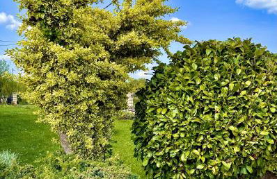 Apartments Sanja - Foto 57