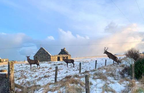 Nᴼ 21 Beautiful Cosy Modern Traditional Cottage - Photo 53