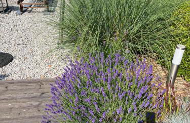 Kleines Kurhaus Lubmin - Foto 40