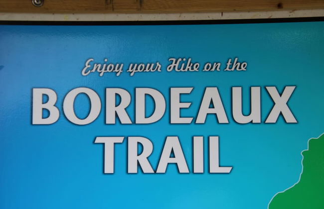 The Killick Inn & Suites - Foto 46