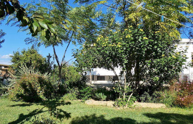 Residenza Arcangela - 4 Alloggi con 2 Piscine Private nel Salento - Fino a 20 Posti Letto - Photo 40