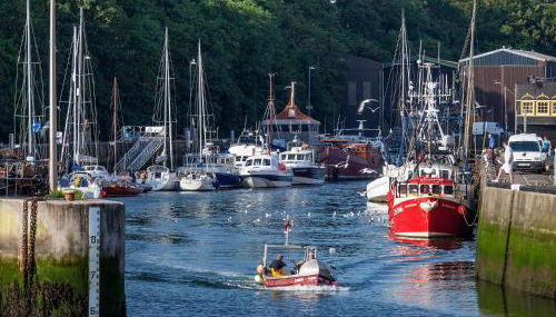 Albero Apartment - Foto 4