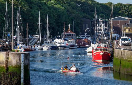 Albero Apartment - Foto 4