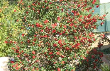 Apartamento en pleno Montseny Mas Romeu Turisme Rural - Foto 42