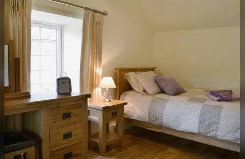 Golygfar Mynydd - Foto 22