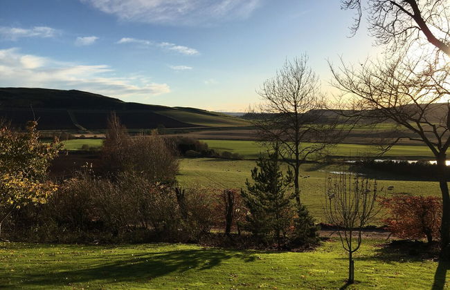 Mountain Ash Lodge - Photo 10