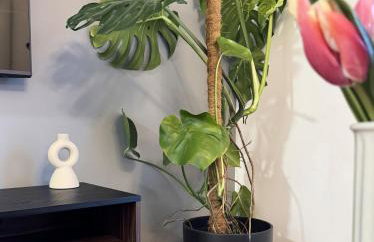 Modern Studio Szałasa - Foto 18