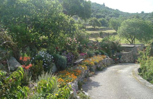 Apartments by the sea Sladjenovici, Dubrovnik - 11531 - Foto 10