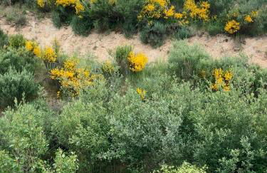 Chalet rural en Angeles de San Rafael - Foto 40