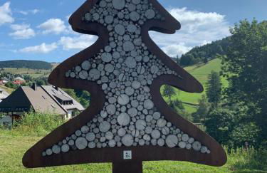 Haus am Sonnenberg,Todtnauberg, Ferienwohnung 105, direkt am Skilift-Skipiste, Nähe Feldberg - Foto 23