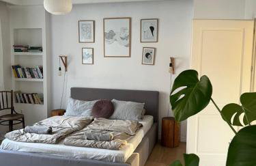 Apartamenty Rajcza - Foto 1