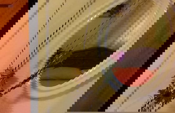 Room-comfortable inn Green Sea Villa Hel - Foto 12