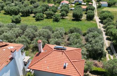 Herodicus villa - Foto 40