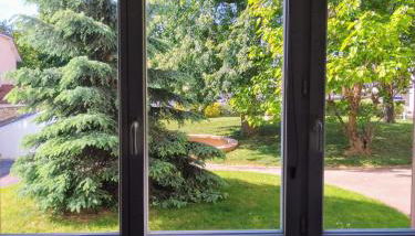 ZEN T1, 400m centre et lycée Bayen, 1400m gare tout confort - Foto 3, Garden view