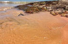 Carmela temporada Balneário de IRIRI Espírito Santo ES - Foto 44