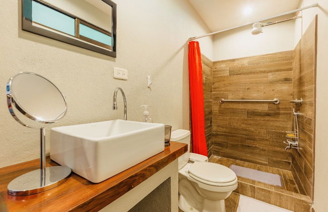 Relaxing Sound of River Birds Squirrels - Foto 27