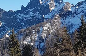 La Tana della Volpe, Falcade - BL - Foto 18