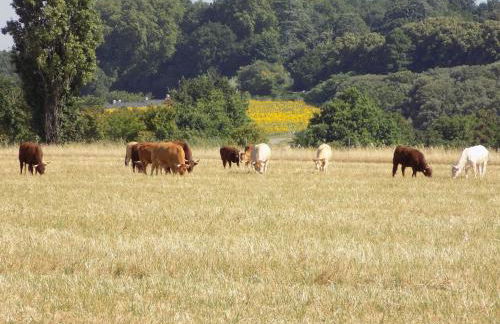 Les Gîtes de Genas - Foto 4