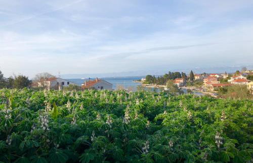Schöne Ferienwohnung mit Terrasse, Roses - Photo 76