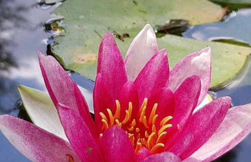 Ferienwohnung am Geißberg - Photo 10