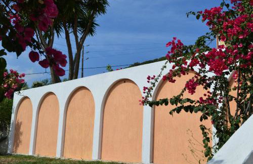 Mediterranean Studios - Photo 18