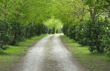 Longère normande avec piscine et jardin - Foto 10